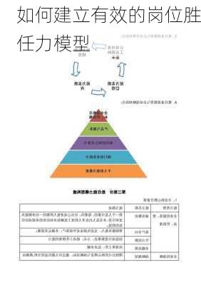 如何建立有效的岗位胜任力模型