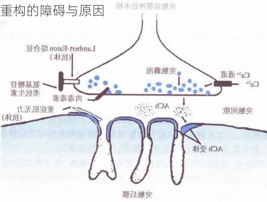 重构的障碍与原因