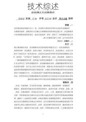 技术综述