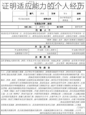 证明适应能力的个人经历