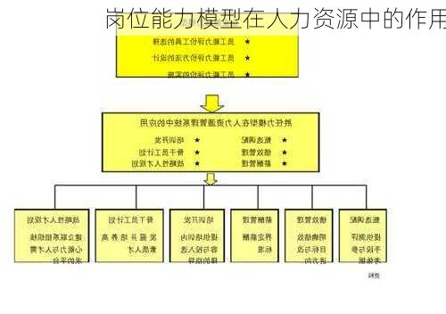 岗位能力模型在人力资源中的作用