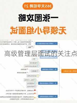 高级管理层面试的关注点