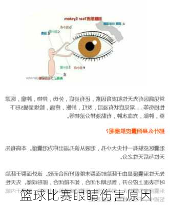 篮球比赛眼睛伤害原因