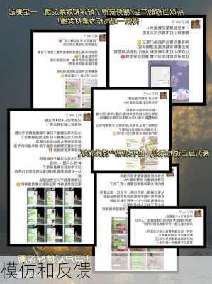 模仿和反馈
