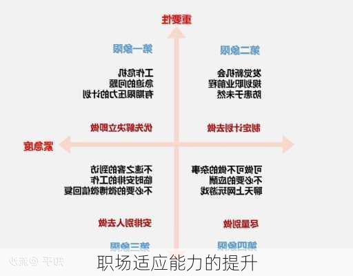 职场适应能力的提升