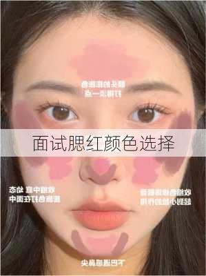 面试腮红颜色选择