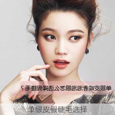 单眼皮假睫毛选择