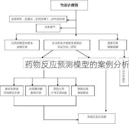 药物反应预测模型的案例分析