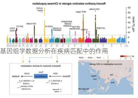 基因组学数据分析在疾病匹配中的作用