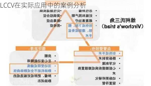 LCCV在实际应用中的案例分析