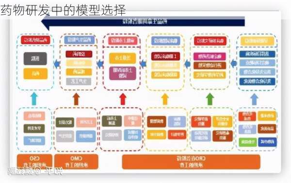 药物研发中的模型选择