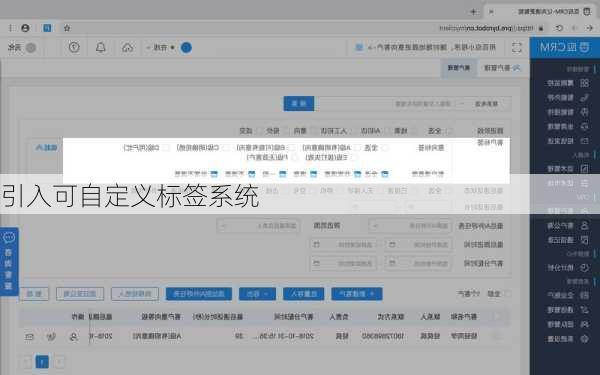 引入可自定义标签系统