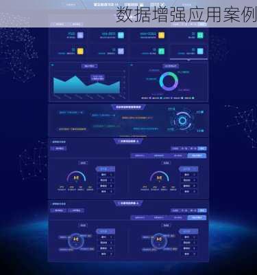 数据增强应用案例