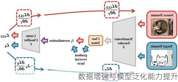 数据增强与模型泛化能力提升