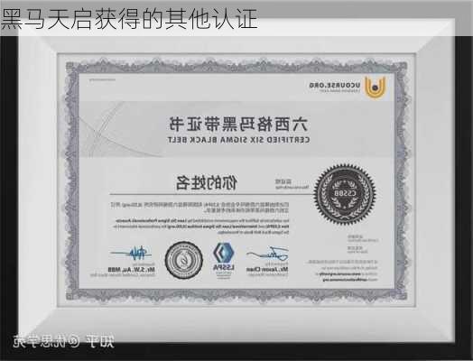 黑马天启获得的其他认证