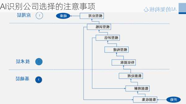 AI识别公司选择的注意事项
