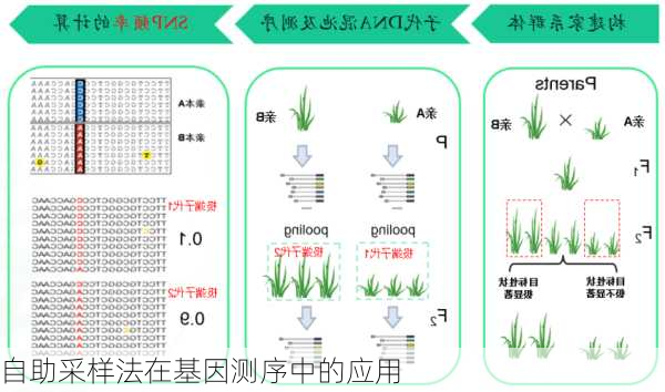 自助采样法在基因测序中的应用