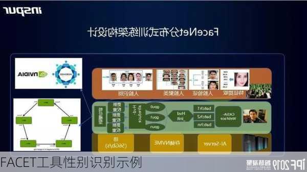 FACET工具性别识别示例