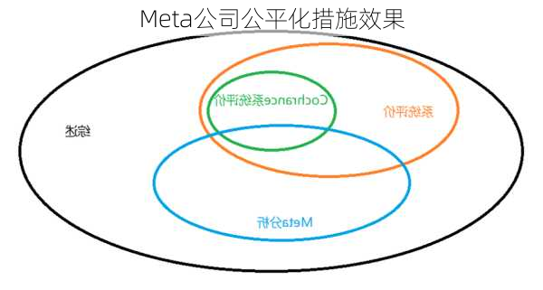 Meta公司公平化措施效果