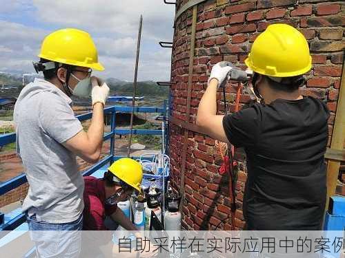 自助采样在实际应用中的案例