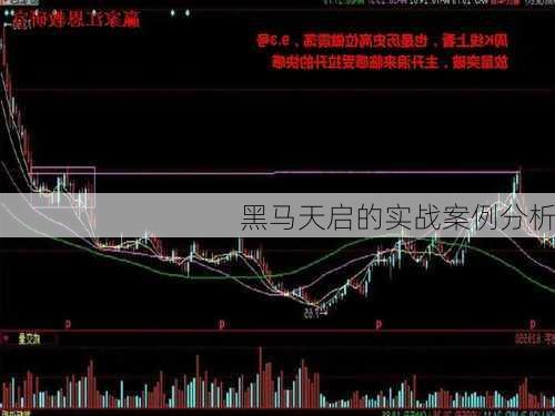 黑马天启的实战案例分析