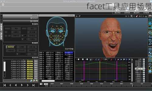 facet工具应用场景