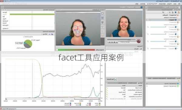 facet工具应用案例