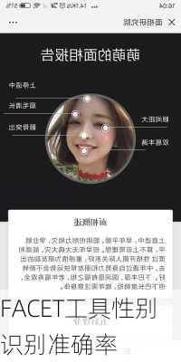 FACET工具性别识别准确率