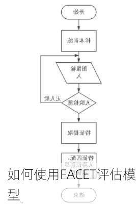 如何使用FACET评估模型
