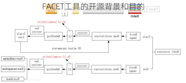 FACET工具的开源背景和目的