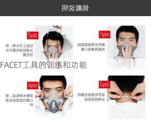 FACET工具的训练和功能