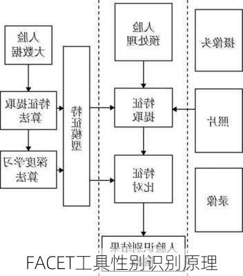 FACET工具性别识别原理