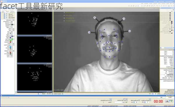 facet工具最新研究