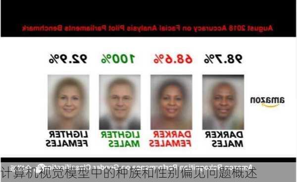 计算机视觉模型中的种族和性别偏见问题概述