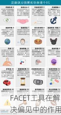 FACET工具在解决偏见中的作用