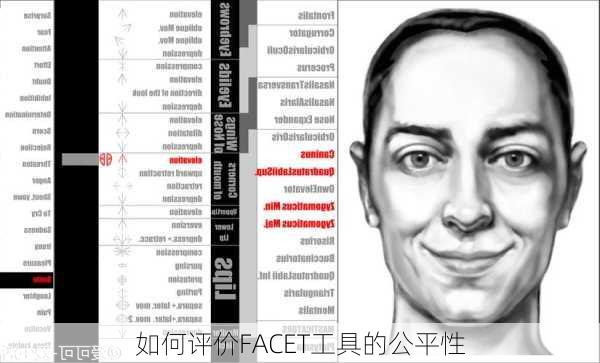 如何评价FACET工具的公平性