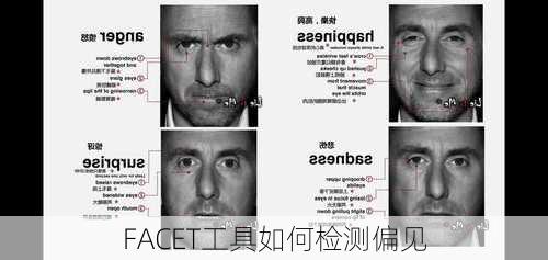 FACET工具如何检测偏见