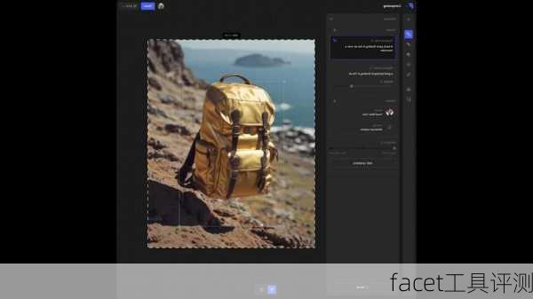 facet工具评测