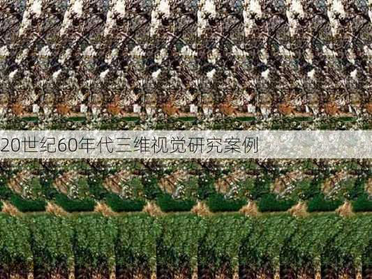 20世纪60年代三维视觉研究案例