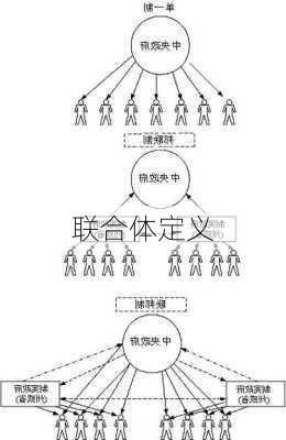 联合体定义