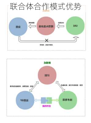 联合体合作模式优势