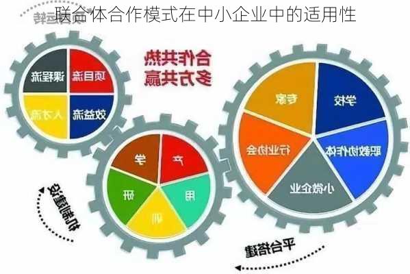 联合体合作模式在中小企业中的适用性