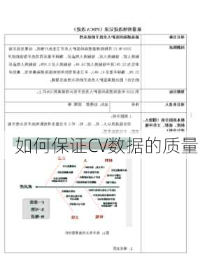 如何保证CV数据的质量