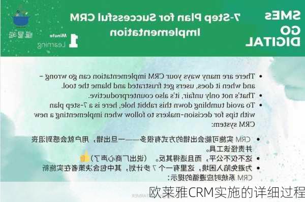 欧莱雅CRM实施的详细过程