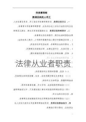 法律从业者职责