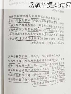 岳敬华提案过程