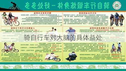 骑自行车对大脑的具体益处