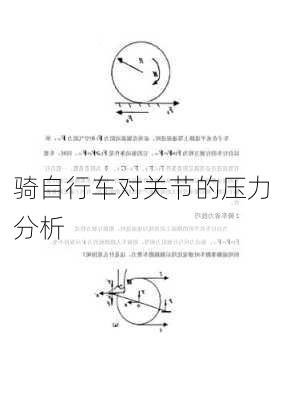骑自行车对关节的压力分析
