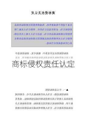 商标侵权责任认定