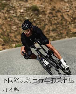 不同路况骑自行车的关节压力体验